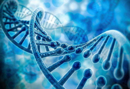 mg冰球突破·豪华版(试玩)官方网站