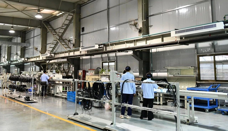 微信图片_20230906152303_1_副本