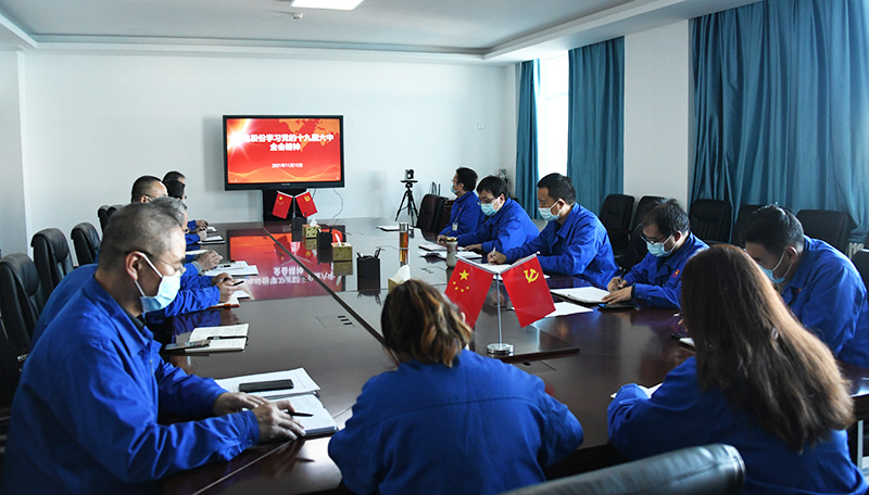 兰电股份召开党委会集中学习十九届六中全会精神.jpg